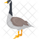 پیش‌نمایش فایل canadian-goose-1836601 از پک پرندگان