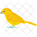 پیش‌نمایش فایل canary-1836611 از پک پرندگان