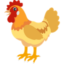 پیش‌نمایش فایل chicken-1836597 از پک پرندگان