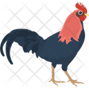 پیش‌نمایش فایل chicken-1836605 از پک پرندگان