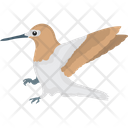 پیش‌نمایش فایل common-guillemot-1836584 از پک پرندگان