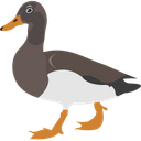 پیش‌نمایش فایل duck-1836618 از پک پرندگان