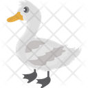 پیش‌نمایش فایل duck-1836628 از پک پرندگان