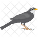پیش‌نمایش فایل egyptian-plover-1836602 از پک پرندگان