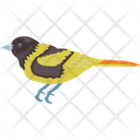 پیش‌نمایش فایل eurasian-bullfinch-1836632 از پک پرندگان