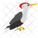 پیش‌نمایش فایل forestry-bird-1836616 از پک پرندگان