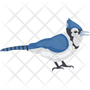 پیش‌نمایش فایل fowl-1836592 از پک پرندگان