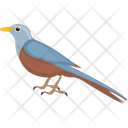 پیش‌نمایش فایل gauraiya-bird-1836622 از پک پرندگان