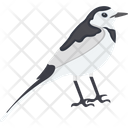 پیش‌نمایش فایل gauraiya-bird-1836631 از پک پرندگان
