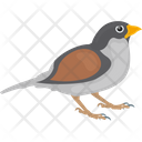 پیش‌نمایش فایل gauraiya-sparrow-1836607 از پک پرندگان