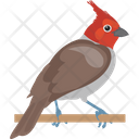 پیش‌نمایش فایل house-sparrow-1836608 از پک پرندگان