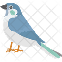 پیش‌نمایش فایل house-sparrow-1836625 از پک پرندگان