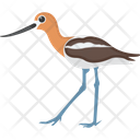 پیش‌نمایش فایل japanese-crane-1836637 از پک پرندگان