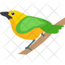 پیش‌نمایش فایل macaw-1836610 از پک پرندگان