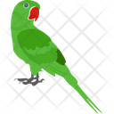 پیش‌نمایش فایل macaw-1836627 از پک پرندگان