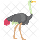 پیش‌نمایش فایل ostrich-1836599 از پک پرندگان