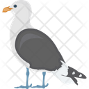 پیش‌نمایش فایل rock-pigeon-1836633 از پک پرندگان