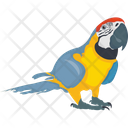 آیکن
