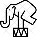 پیش‌نمایش فایل circus-elephant-1939205 از پک سیرک