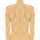 پیش‌نمایش فایل back-body-2146243 از پک بدن انسان