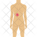 پیش‌نمایش فایل body-part-2146193 از پک بدن انسان