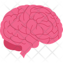 پیش‌نمایش فایل brain-2146229 از پک بدن انسان