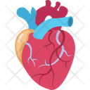 پیش‌نمایش فایل cardiology-2146215 از پک بدن انسان