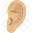 پیش‌نمایش فایل ear-2146264 از پک بدن انسان