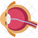 پیش‌نمایش فایل eye-2146237 از پک بدن انسان
