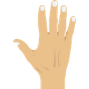 پیش‌نمایش فایل finger-2146253 از پک بدن انسان