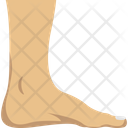پیش‌نمایش فایل foot-2146218 از پک بدن انسان