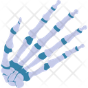 پیش‌نمایش فایل hand-skeleton-2146245 از پک بدن انسان
