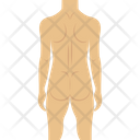 پیش‌نمایش فایل human-body-2146226 از پک بدن انسان