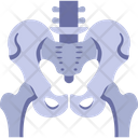 پیش‌نمایش فایل human-bone-skeleton-2146261 از پک بدن انسان