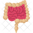 پیش‌نمایش فایل intestine-2146262 از پک بدن انسان