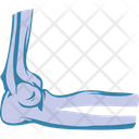 پیش‌نمایش فایل joint-bone-2146220 از پک بدن انسان