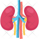 پیش‌نمایش فایل kidney-2146247 از پک بدن انسان