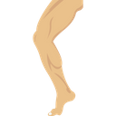 پیش‌نمایش فایل leg-2146205 از پک بدن انسان