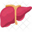 پیش‌نمایش فایل liver-2146238 از پک بدن انسان