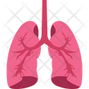 پیش‌نمایش فایل lung-2146223 از پک بدن انسان