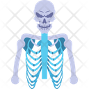 پیش‌نمایش فایل skeleton-2146228 از پک بدن انسان