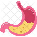 پیش‌نمایش فایل stomach-2146216 از پک بدن انسان