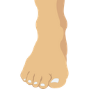 پیش‌نمایش فایل toe-2146251 از پک بدن انسان