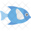 پیش‌نمایش فایل aquatic-fish-2149557 از پک شکار و زندگی دریایی