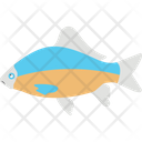 پیش‌نمایش فایل aquatic-fish-2149569 از پک شکار و زندگی دریایی