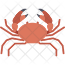 پیش‌نمایش فایل crawl-crab-2149555 از پک شکار و زندگی دریایی