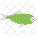 پیش‌نمایش فایل fish-2149519 از پک شکار و زندگی دریایی