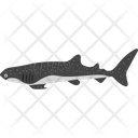 پیش‌نمایش فایل fish-2149584 از پک شکار و زندگی دریایی