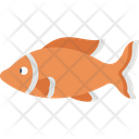 پیش‌نمایش فایل fish-2149604 از پک شکار و زندگی دریایی