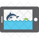 پیش‌نمایش فایل fishes-wallpaper-2149517 از پک شکار و زندگی دریایی